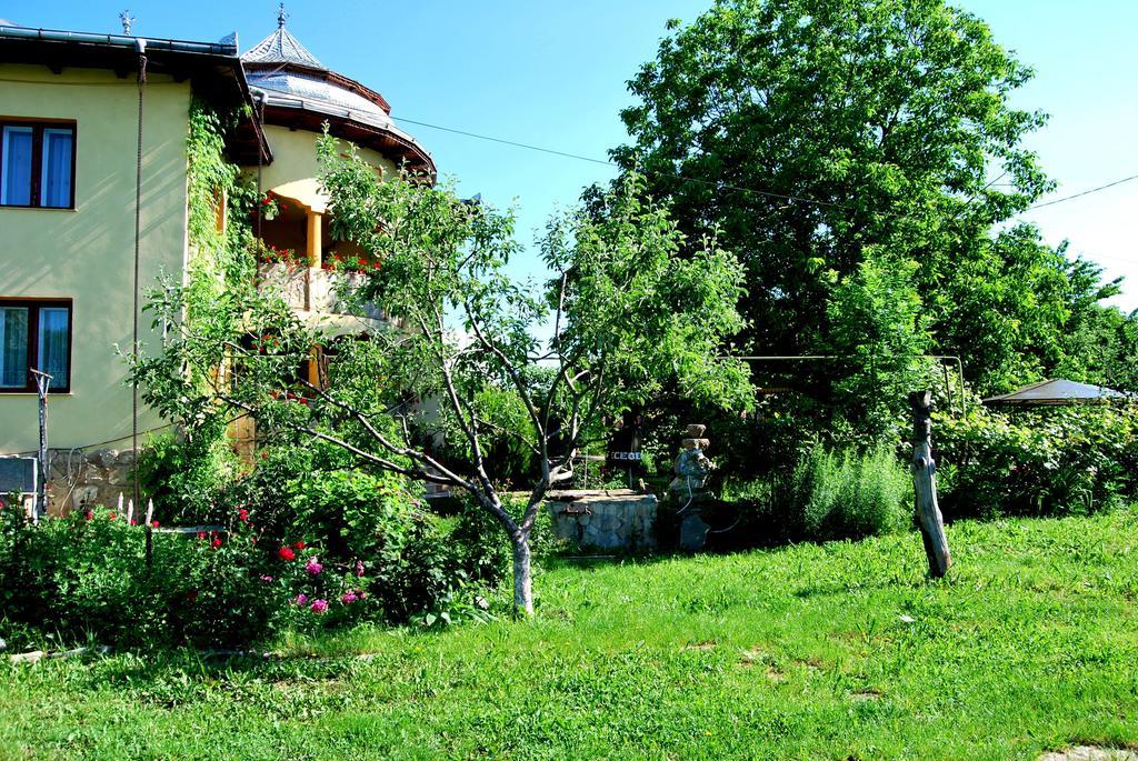 Pensiunea Cassandra Targu Neamt Exterior photo